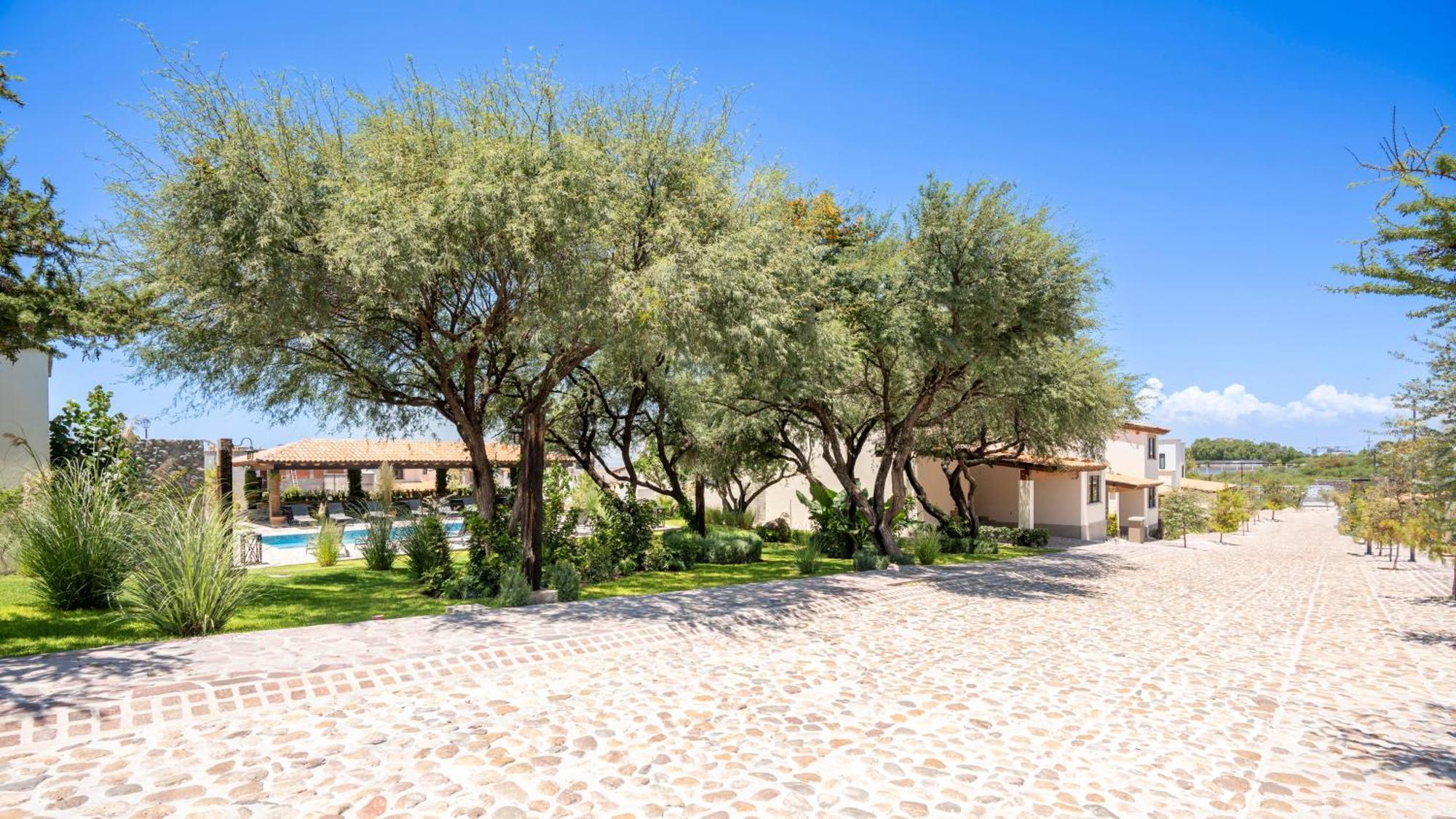 סאן מיגל דה אלנדה Private Sanctuary 4Br Home With Pool And Gym מראה חיצוני תמונה